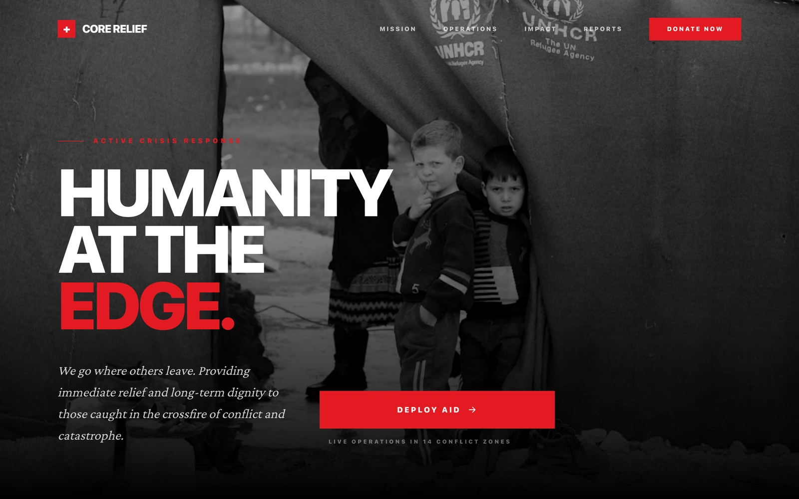 Humanitarian Relief Website Template preview