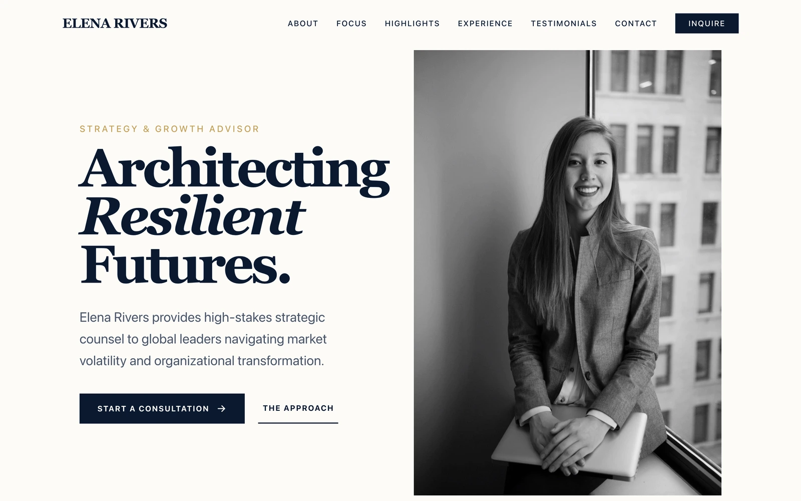 Consultant Website Template preview