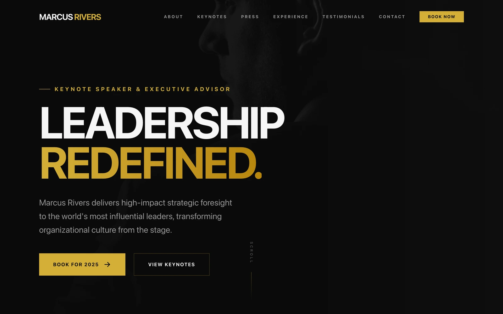 Keynote Speaker Website Template preview