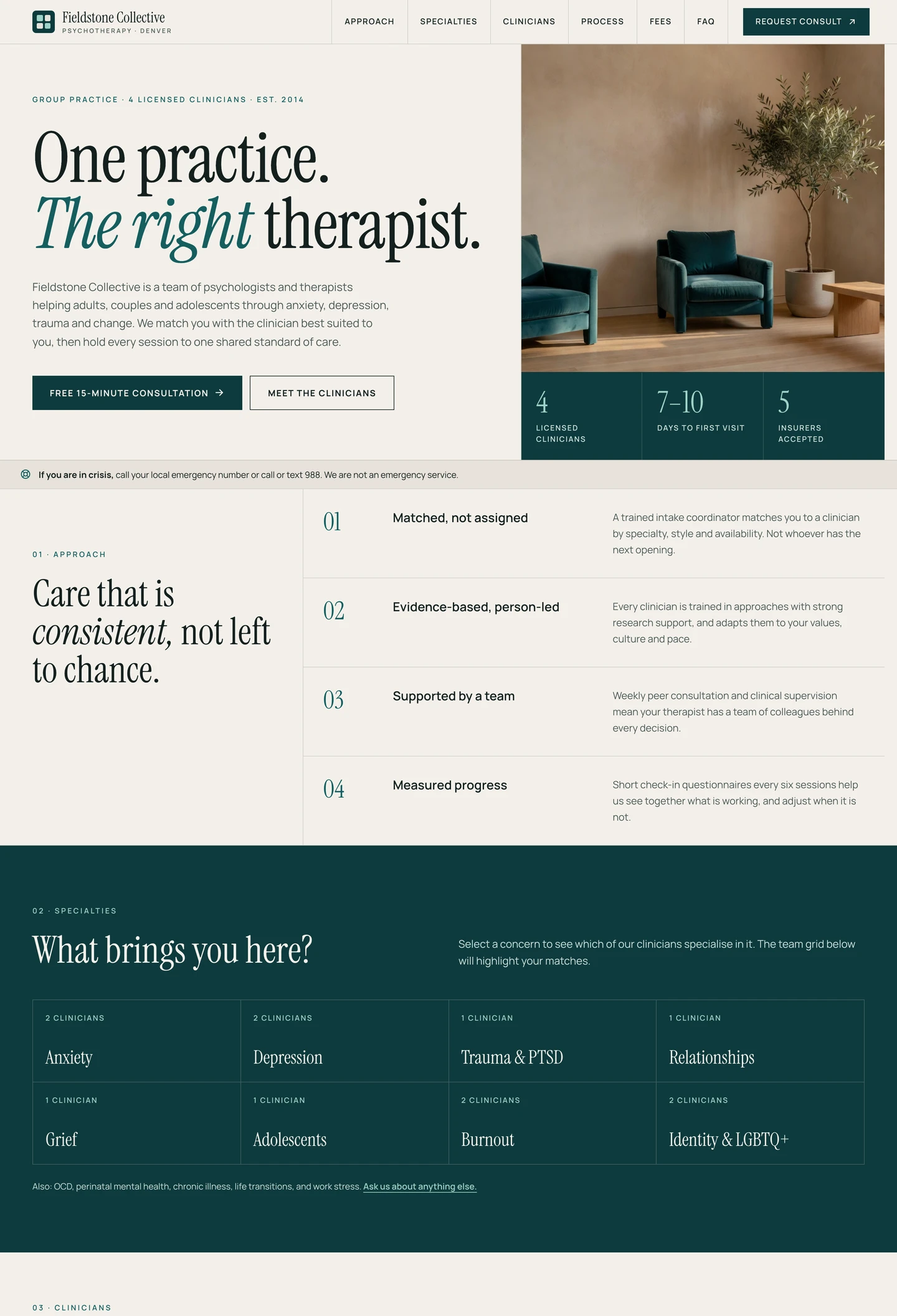 Group therapy practice website built with Looops